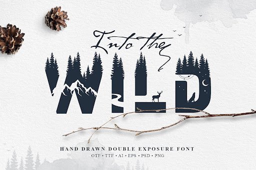 Into the Wild Font by Cosmic Store