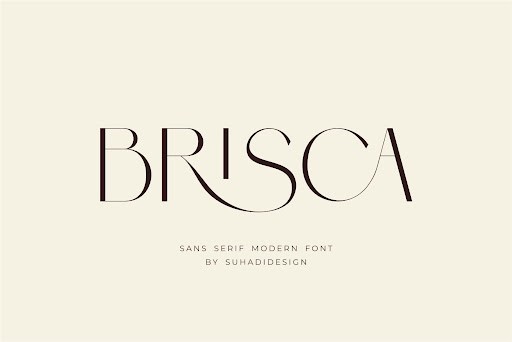 Brisca Font by suhadidesign