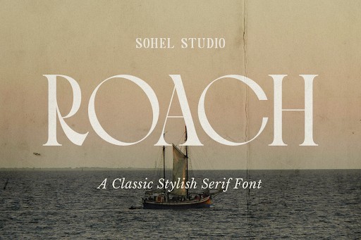 Roach Font by Sohel Studio
