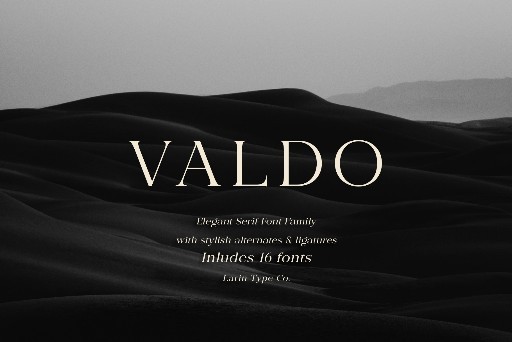 Valdo Font by Pasha Larin