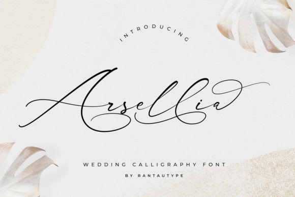Arsellia