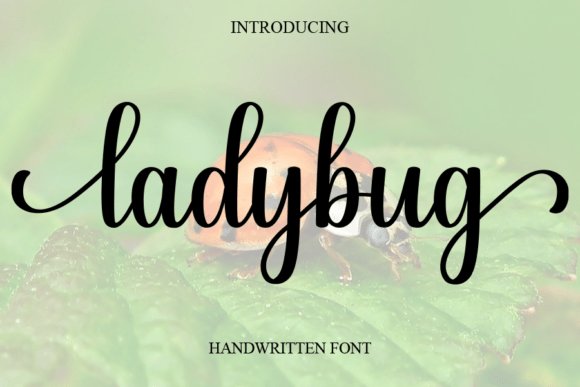 Ladybug