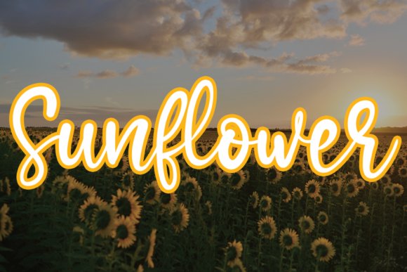 Sunflower