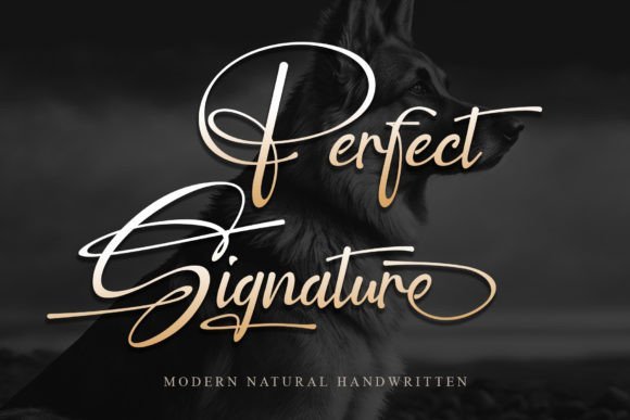 41 Best Script Fonts Find The Perfect Signature Font For Your 2026 