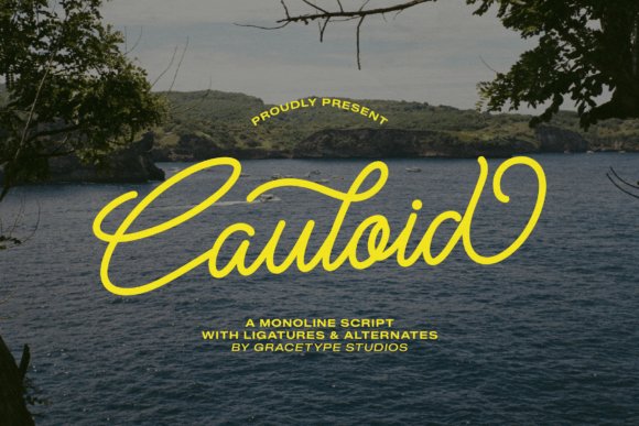 Cauloid