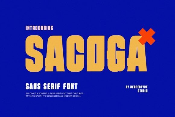 Sacoga