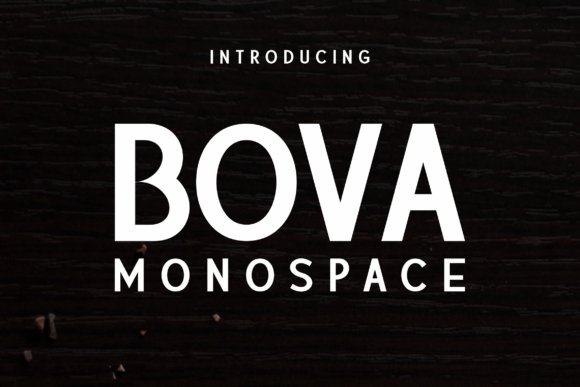 Bova Monospace Font