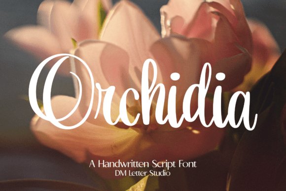 Orchidia Font - Feminine Script Fonts for Elegant Branding