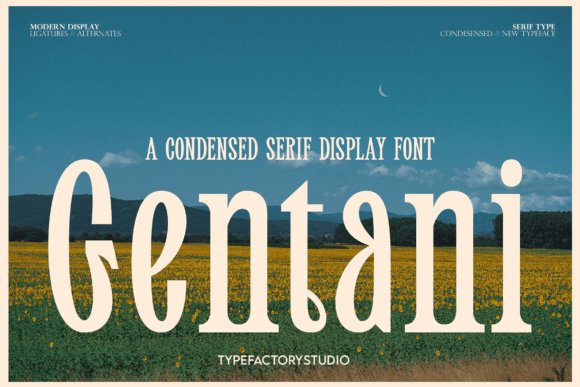 Gentani Font