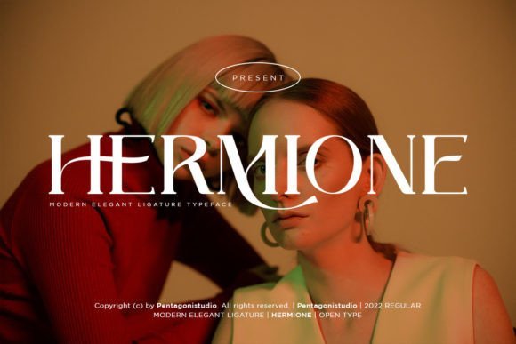 Hermione Modern Serif - Modern Serif Fonts
