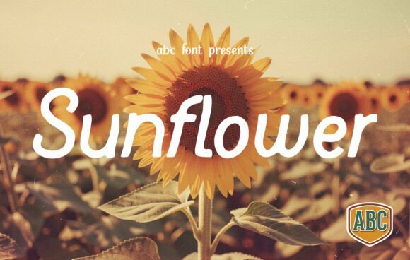 Sunflower Script Font