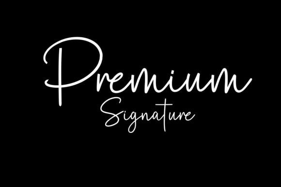 spectacular signature font