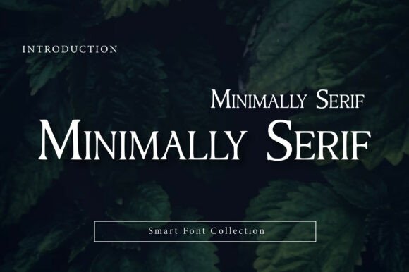 Minimally Serif Font
