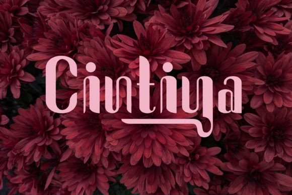 Cintiya Font