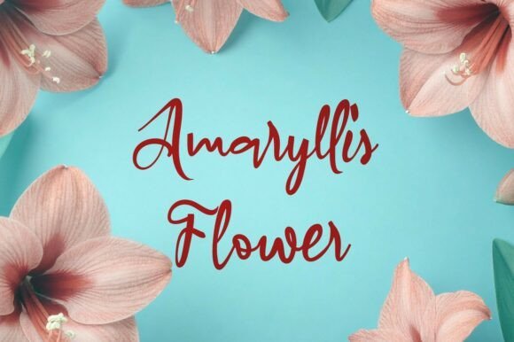 Amaryllis Flower