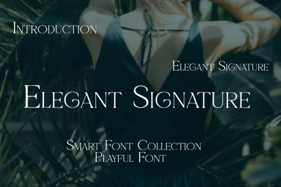 Elegant Signature Font