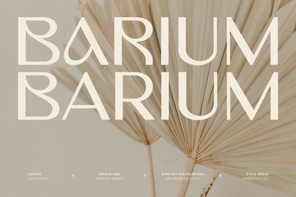 Barium Font
