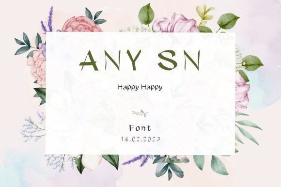 Any Sn Script Font