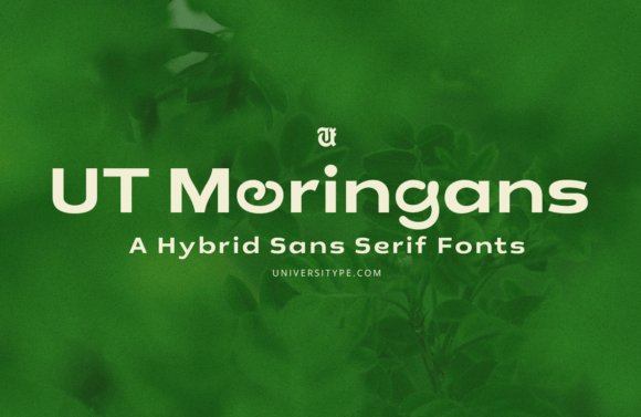 Ut Moringans