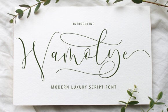 Wamolye Font