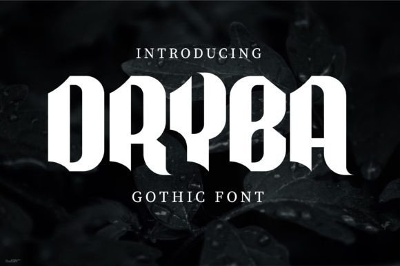 Dryba Font
