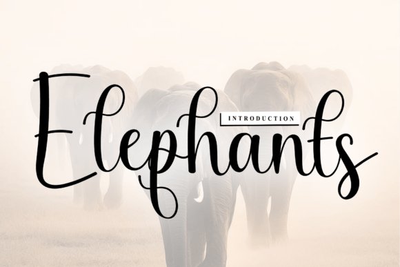 Elephants Signature Font