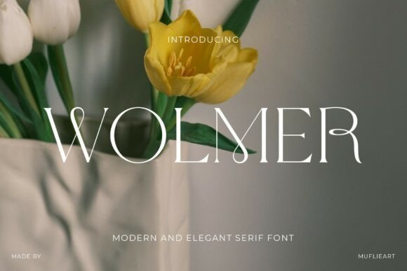 Wolmer Serif Font