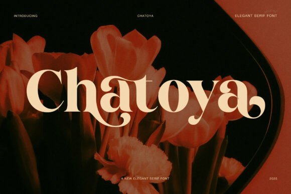 Chatoya Font