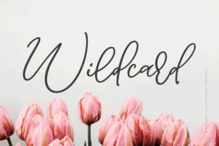 romantic fonts