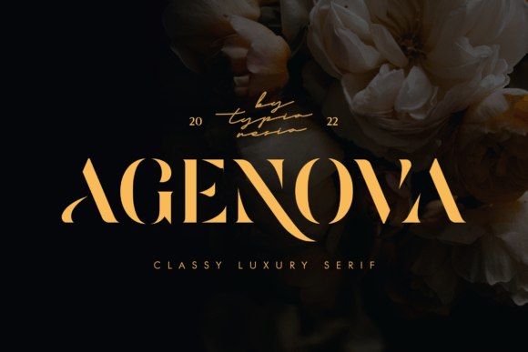 Agenova stencil serif display fonts for glamorous headlines