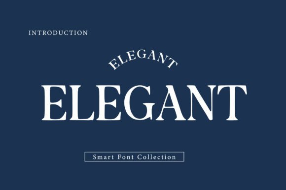 Elegant serif display feminine fonts for beauty brands