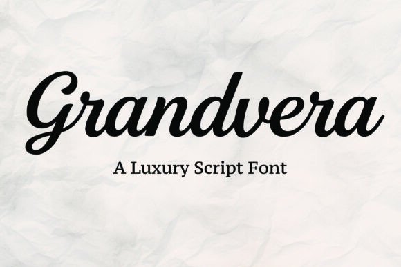 Elegant script fonts for branding shown on a flowing wordmark