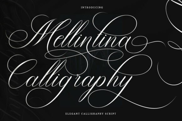 Calligraphy fonts for wedding invitations shown on an elegant card