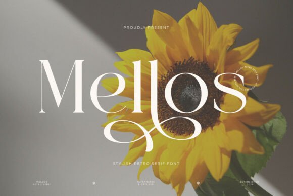 Aesthetic fonts for Instagram shown on a styled quote post