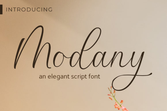 Modany font preview