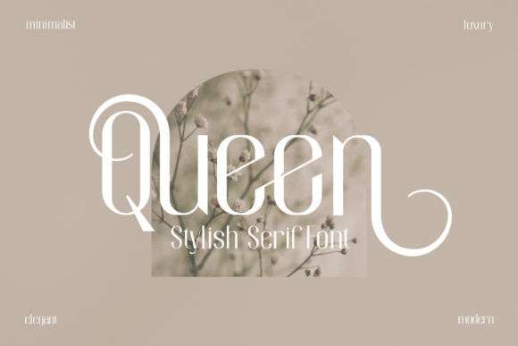 Queen modern classic sans fonts for instagram captions