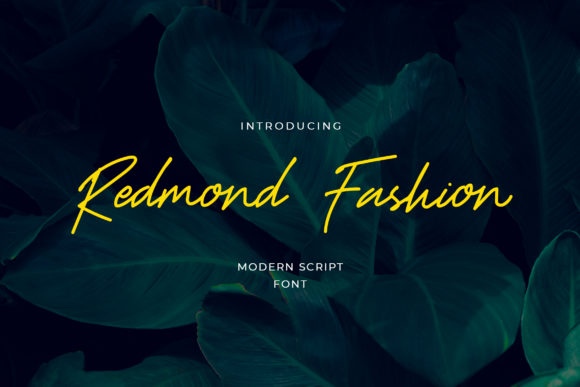Redmond Fashion brushed script fonts for logos