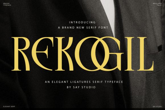 Rekogil luxurious display serif fonts for headlines