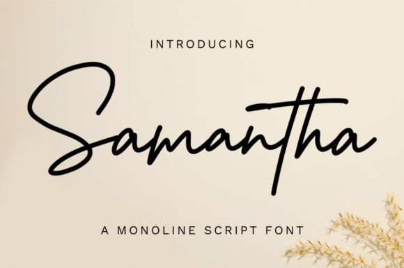Feminine fonts for beauty brands shown on a soft beauty logo