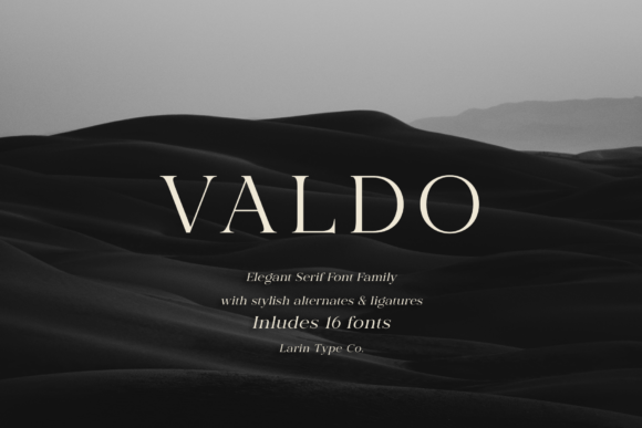 Valdo contrast serif family fonts for modern branding