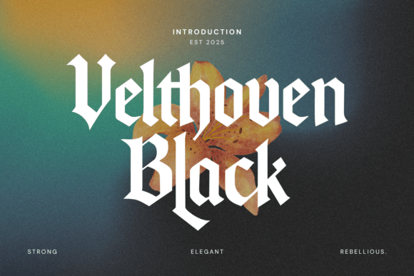 Velthoven Black blackletter fonts for streetwear clothing logos
