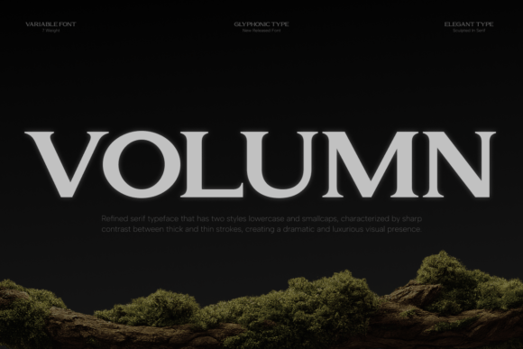 Volumn luxury serif fonts for dramatic beauty branding