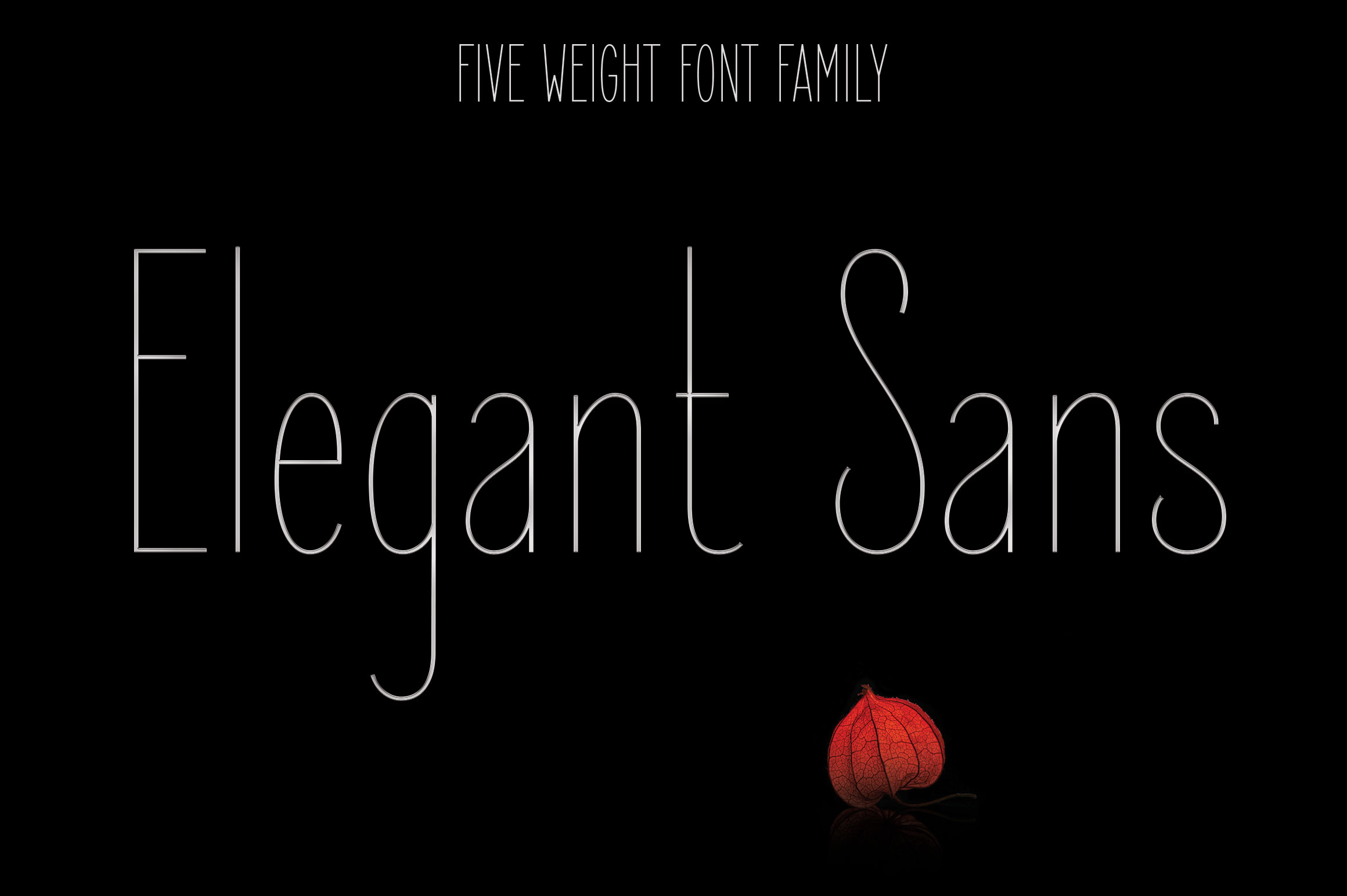 Elegant Sans font