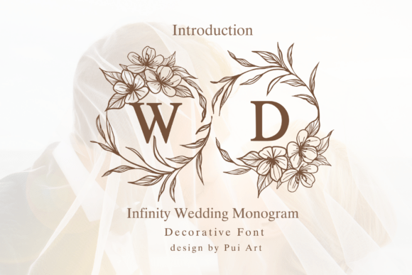 Infinity Wedding Monogram decorative font