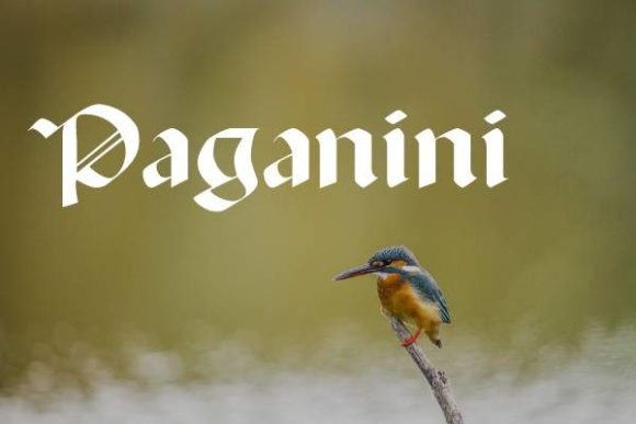 Paganini gothic blackletter font