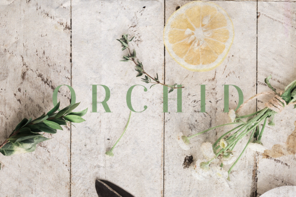 Orchid font sample