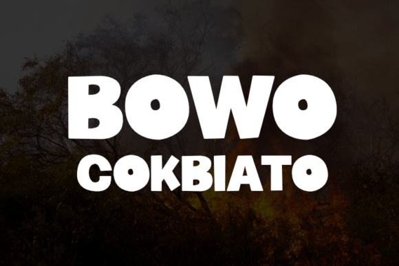 Bowo Cokbiato font preview