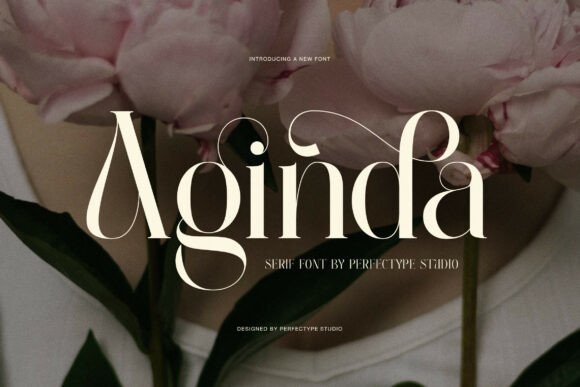 Aginda font preview by Perfectype