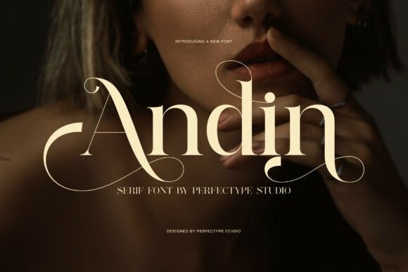 Andin font preview by Perfectype