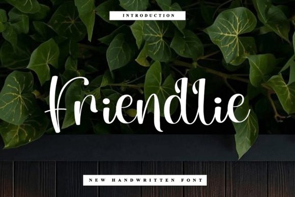 Friendlie — lettering specimen
